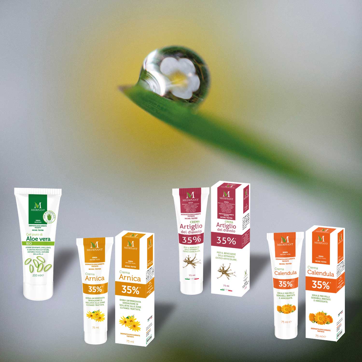 Linea creme “Le Phitoconcentrate”