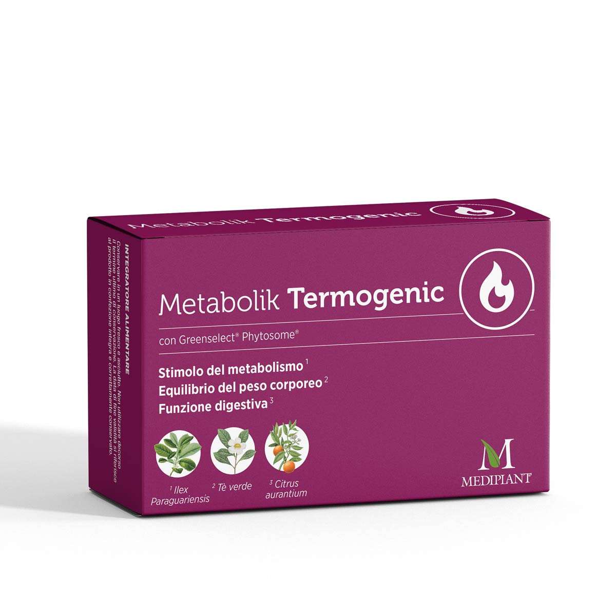 Metabolik Termoegnic